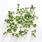 100 Attaches Parisiennes Rondes Vert 5 mm