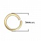 10 Anneaux de jonction ouvert 03 mm Inoxydable dor&eacute;