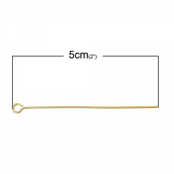 10 Clous 50 mm t&ecirc;te &oelig;il Plaqu&eacute; Or 18K