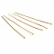 10 Clous &agrave; tiges &agrave; t&ecirc;te plates acier inoxydable 50 mm Dor&eacute;