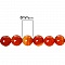 10 Perles Agate ( Chauff&eacute; ) Rond Rouge Orang&eacute; 8 mm Classement B