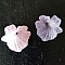 15 Fleurs N&deg;01 assortis