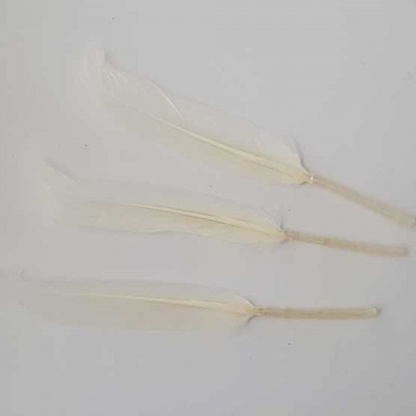 1 Plume 15 cm N&deg;01 Blanc