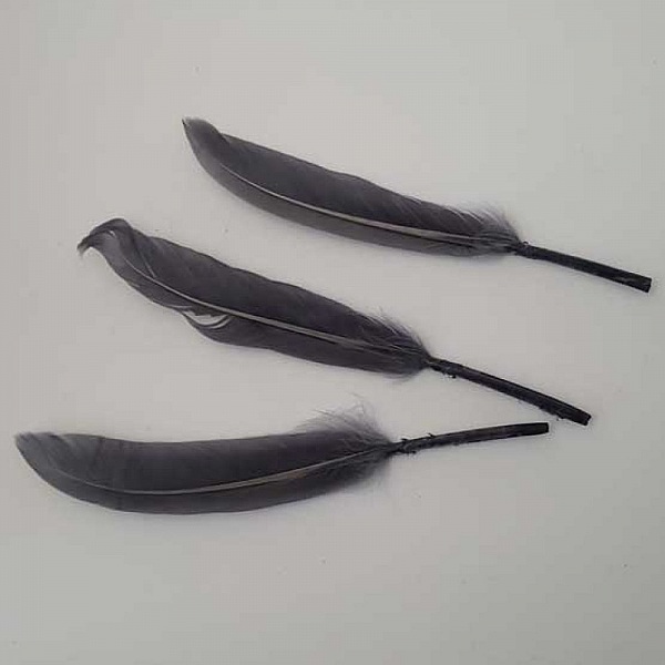 1 Plume 15 cm N&deg;01 Gris