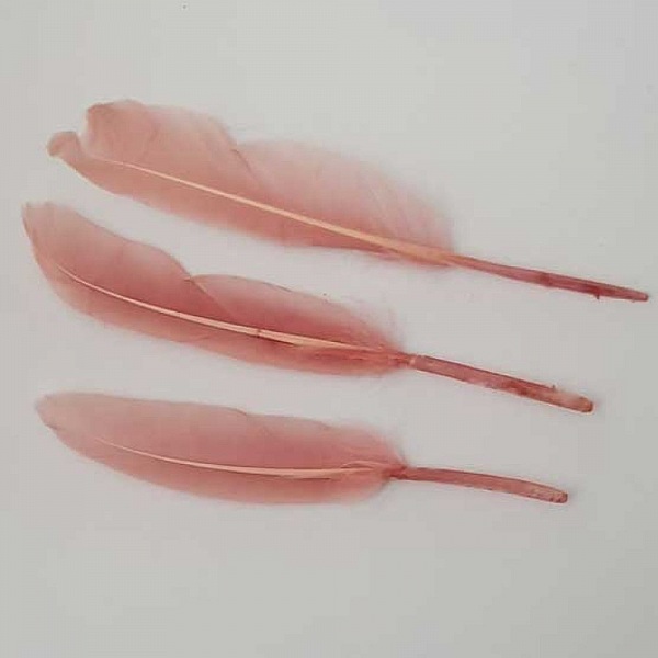 1 Plume 15 cm N&deg;01 Rose
