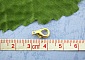 20 Fermoirs Mousqueton 12 x 07 mm Dor&eacute;.