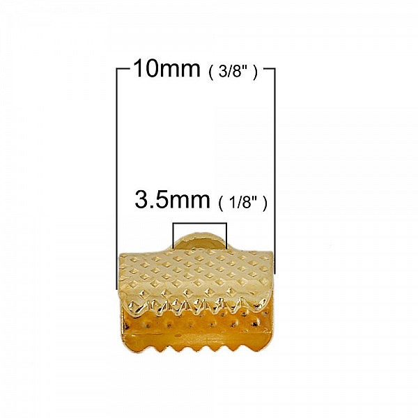 250 Fermoirs griffe 10 x 8mm Mixte
