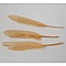 3 Plumes 15 cm N&deg;01 Beige
