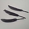 3 Plumes 15 cm N&deg;01 Gris