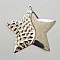 Breloque Divers N&deg;083-01 Pendentif Etoile Argent
