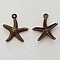Breloque Etoile De Mer N&deg;06 Bronze