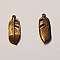 Breloque Plume N&deg;05 Bronze