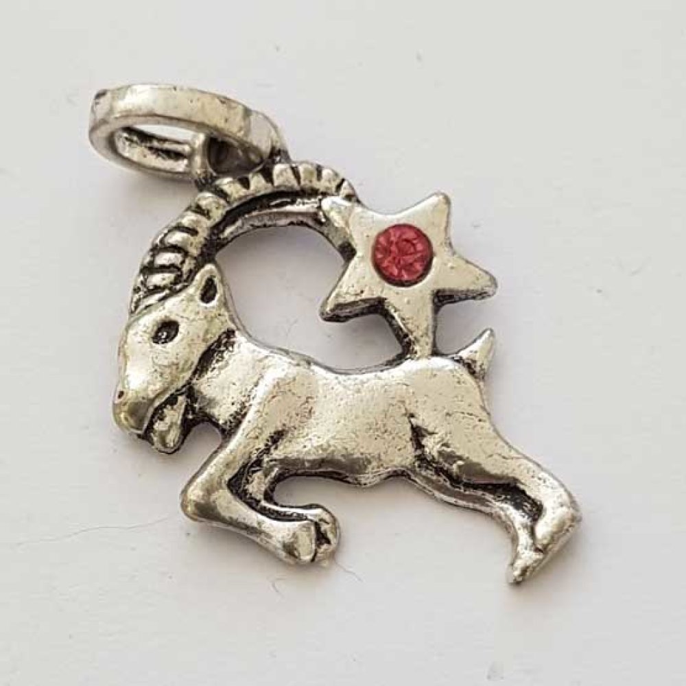 Breloque Signe Zodiaque Capricorne M&eacute;tal Argent&eacute; N&deg;03 avec strass
