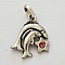 Breloque Signe Zodiaque Poisson M&eacute;tal Argent&eacute; N&deg;03 avec strass