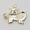 Breloque Signe Zodiaque Lion M&eacute;tal Argent&eacute; N&deg;04 avec strass
