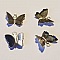 Breloque papillon N&deg;24 Argent 14 x 13 mm