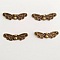 Breloques Ailes N&deg;11 Bronze