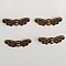 Breloques Ailes N&deg;11 Bronze