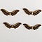 Breloques Ailes N&deg;12 Bronze