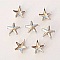Clous rivet &agrave; griffes Etoile 10 mm Argent 10 pi&egrave;ces