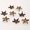 Clous rivet &agrave; griffes Etoile 10 mm Bronze x 10 pi&egrave;ces