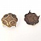 Clous rivet &agrave; griffes Rond 19 mm Bronze 10 pi&egrave;ces