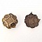 Clous rivet &agrave; griffes Rond 19 mm Bronze 10 pi&egrave;ces