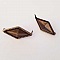 Clous rivet &agrave; griffes 26 x 11 mm Bronze 10 pi&egrave;ces