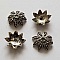 Embout calotte N&deg;41 Argent
