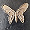 Estampe filigrane Bronze papillon N&deg;07