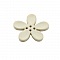 Fleur Orchid&eacute;e r&eacute;sine 4 trous 40 x 3 mm Beige 02