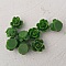 Fleur Synth&eacute;tique 09 mm N&deg;01-25 Vert fonc&eacute;