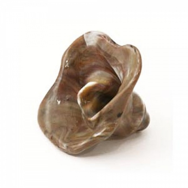 Fleur r&eacute;sine 1 trou 17 x 29 mm Brun 01