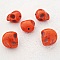 Lot 05 T&ecirc;tes de mort en Howlite teint&eacute;s 18 mm