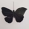 Papillon noir aux ailes de plumes mont&eacute;s sur tige PM