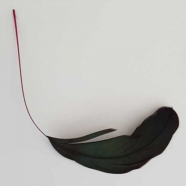 Plume 16 cm N&deg;08 Rouge