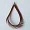 Plume 8 cm N&deg;01 Marron