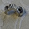 Stopper N&deg;03 Argent