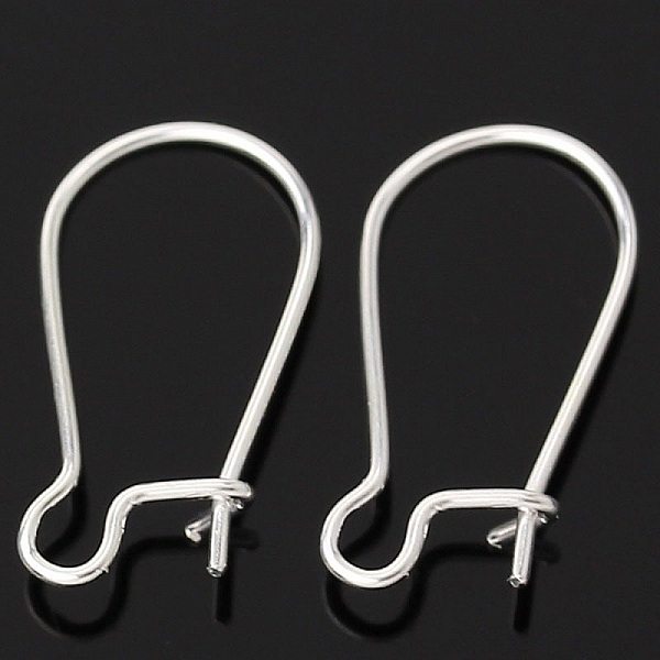 Support Boucle d'oreille Dormeuse 18mm N&deg;01 x 20 Paires
