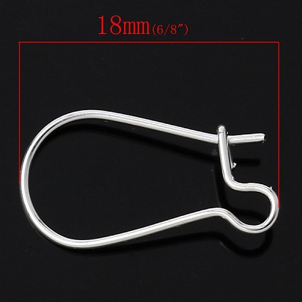 Support Boucle d'oreille Dormeuse 18mm N&deg;01 x 20 Paires