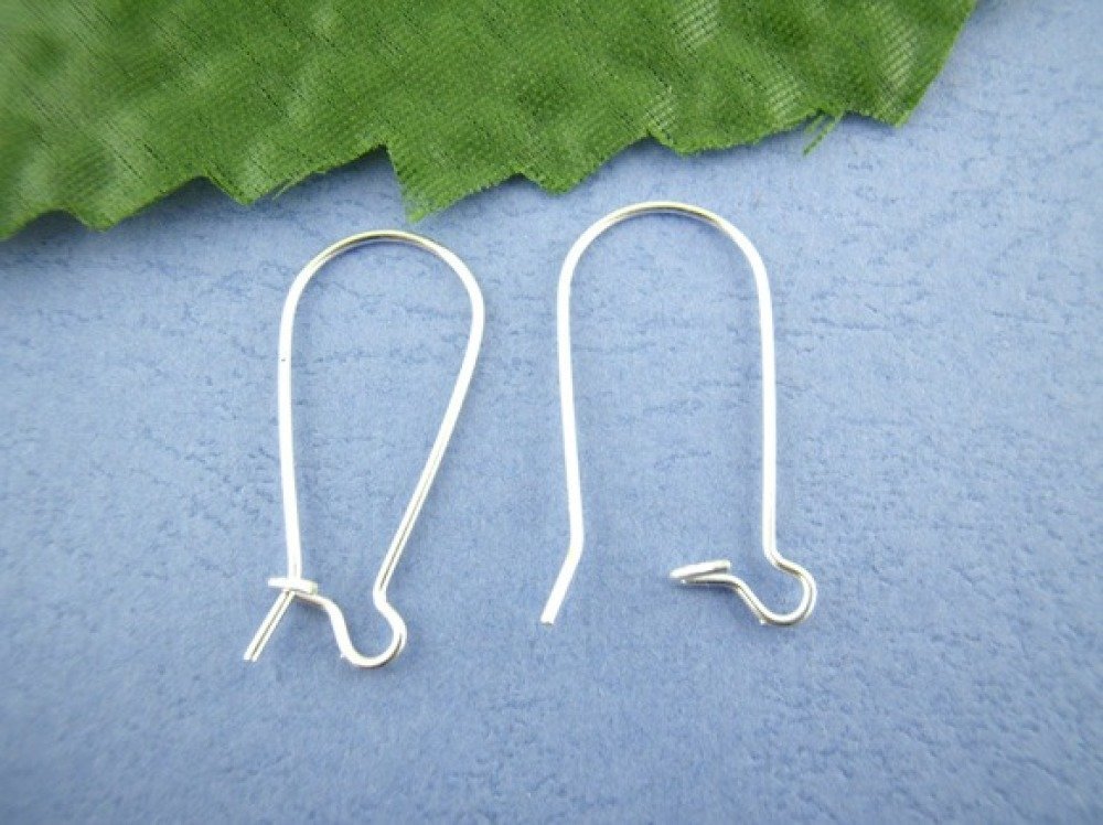 Support Boucle d'oreille Dormeuse 24mm N&deg;02 x 1 Paire