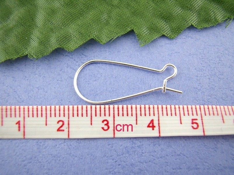 Support Boucle d'oreille Dormeuse 24mm N&deg;02 x 10 Paires