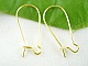 Support Boucle d'oreille Dormeuse 24mm N&deg;04 x 1 Paire