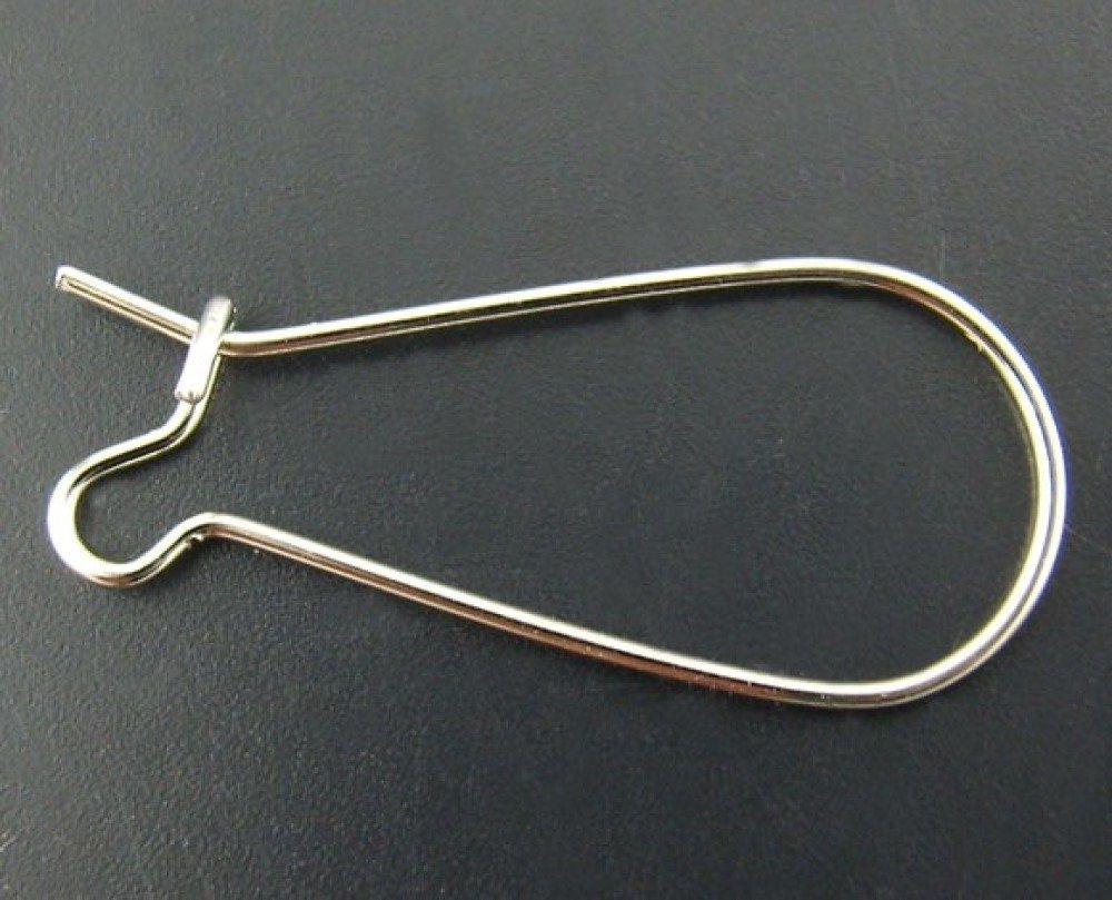 Support Boucle d'oreille Dormeuse 25mm N&deg;06 x 10 Paires