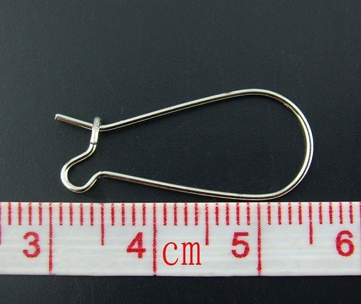Support Boucle d'oreille Dormeuse 25mm N&deg;06 x 10 Paires