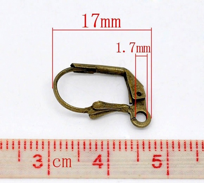 Support Boucle d'oreille Dormeuse N&deg;09 x 10 Paires