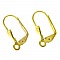 Support Boucle d'oreille Dormeuse N&deg;10 x 5 Paires