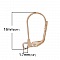 Support Boucle d'oreille Dormeuse N&deg;11 x 5 Paires