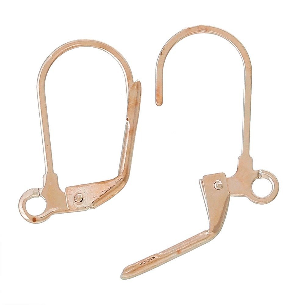 Support Boucle d'oreille Dormeuse N&deg;11 x 5 Paires