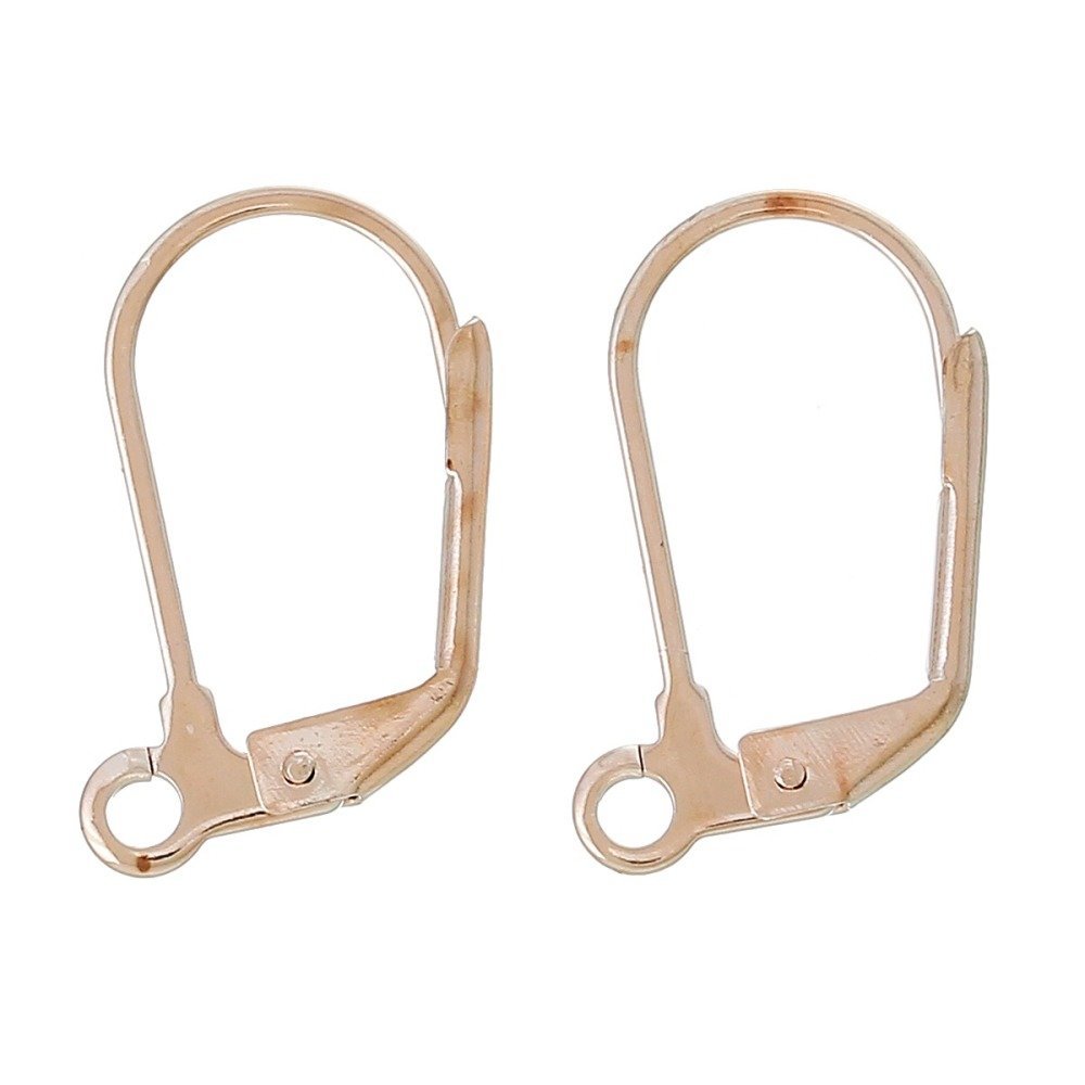 Support Boucle d'oreille Dormeuse N&deg;11 x 10 Paires